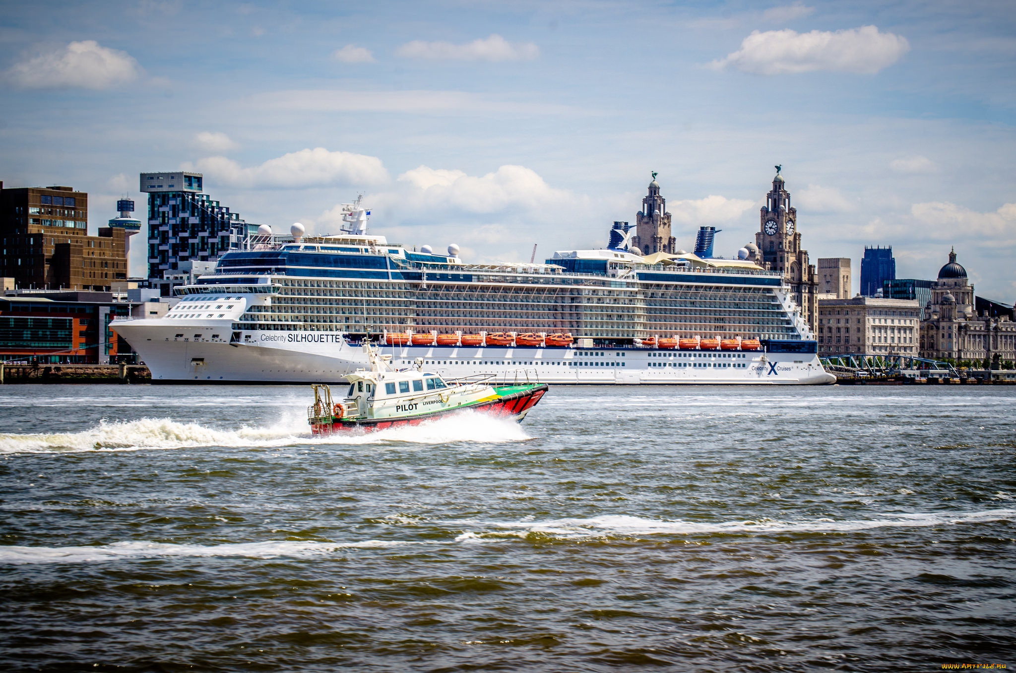 celebrity silhouette, , , , 